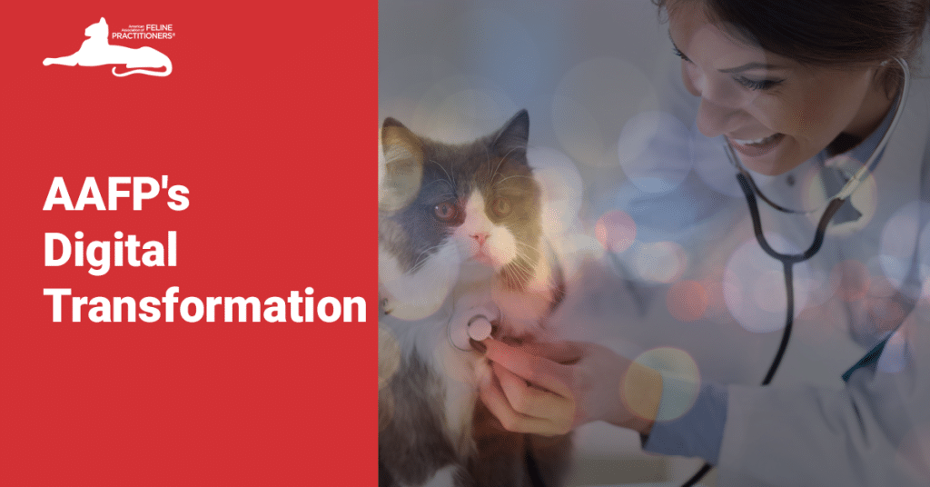 Case Aafps Digital Transformation