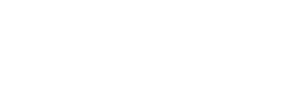 Logo Aao Hns