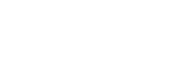 Logo Ans