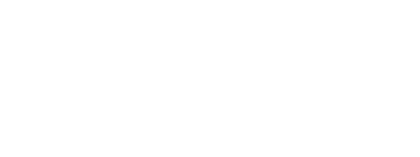 Logo Bscai