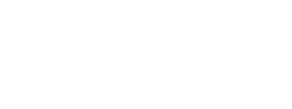 Logo Fei