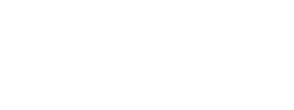 Logo Sfn
