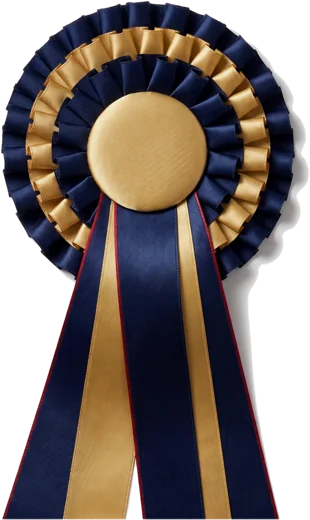 A gold and navy award ribbon rosette.